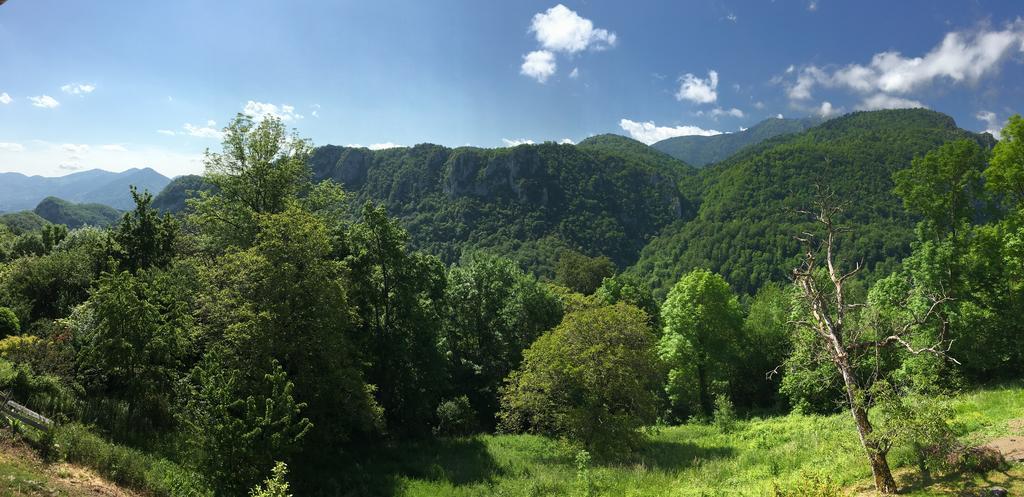 Gite De Serrelongue Montségur Exteriér fotografie